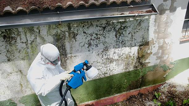 Trusted Commercial Mold Remediation service in Kent, WA - Cheap Mold Removal